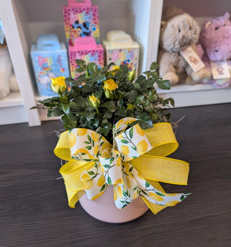 6'' Yellow mini rose