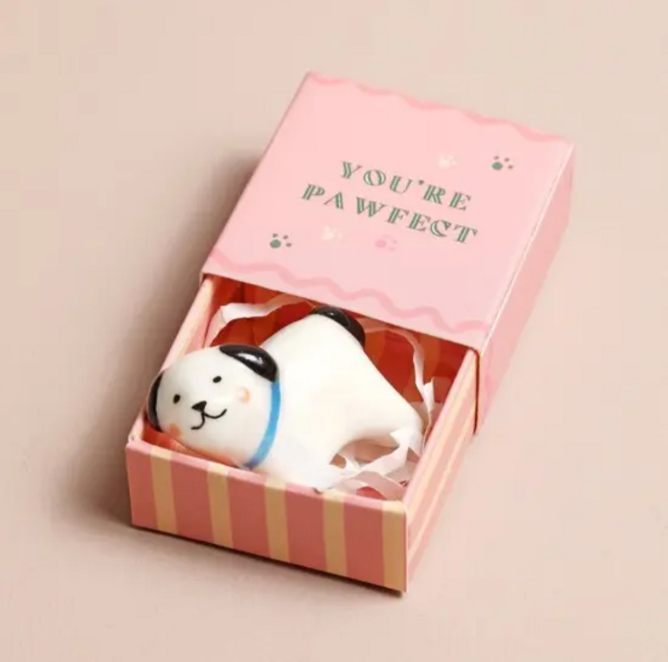 Mini trinket box-you're pawfect