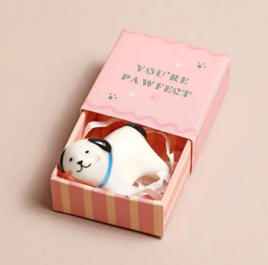 Mini trinket box-you're pawfect