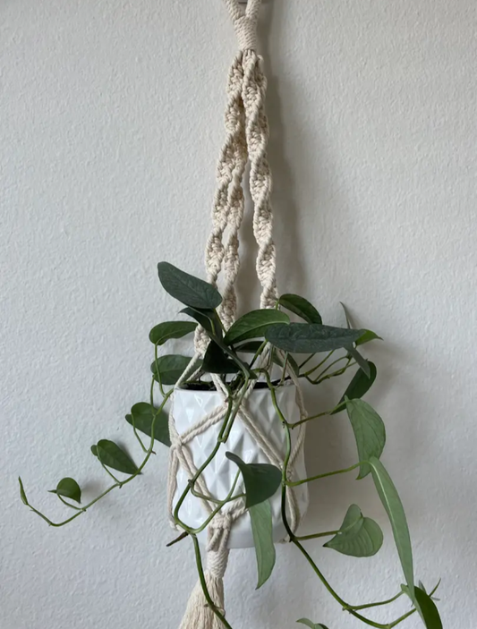 Macrame hanger for 4'' planter