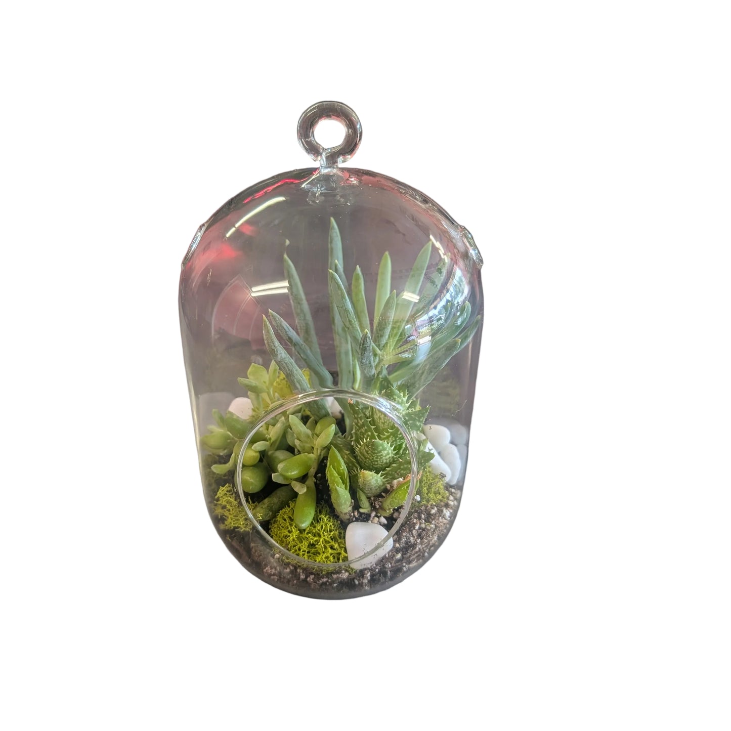 Large succulent planter
