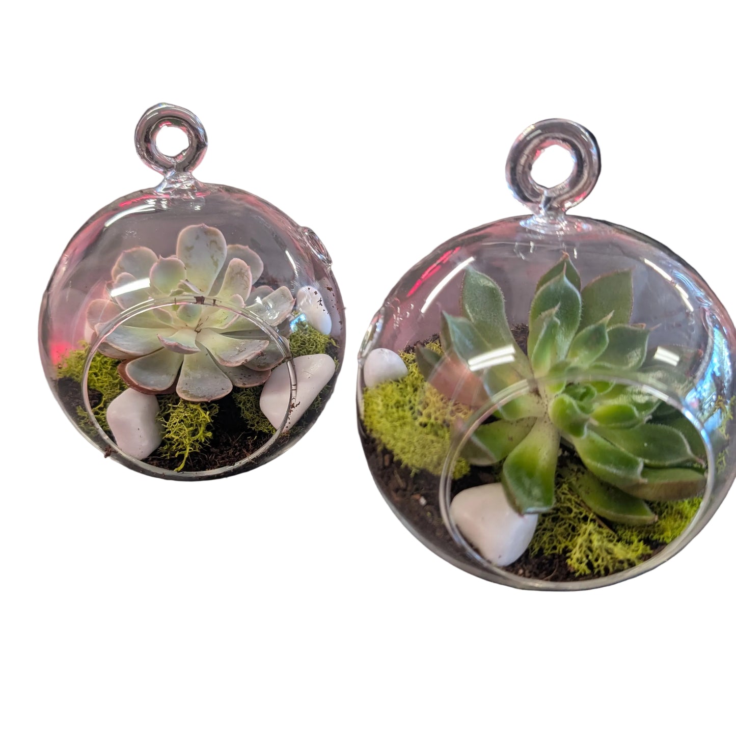 Small succulent planter