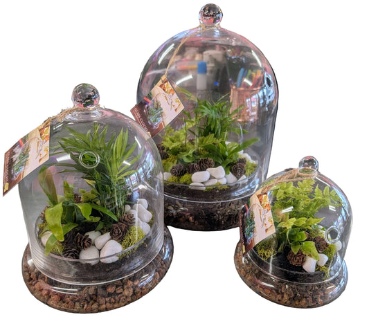 Terariums