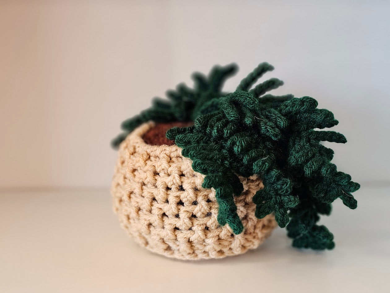 Crocheted plant