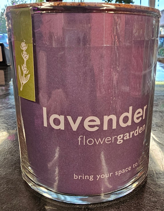 Essential Lavender garden