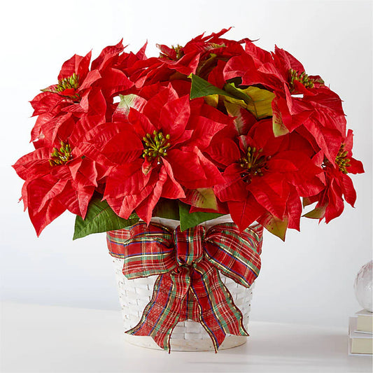 Happiest Holiday Poinsettia