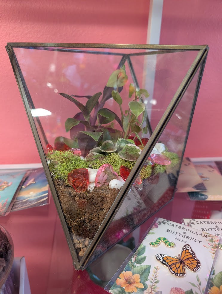 Large geometric terrarium