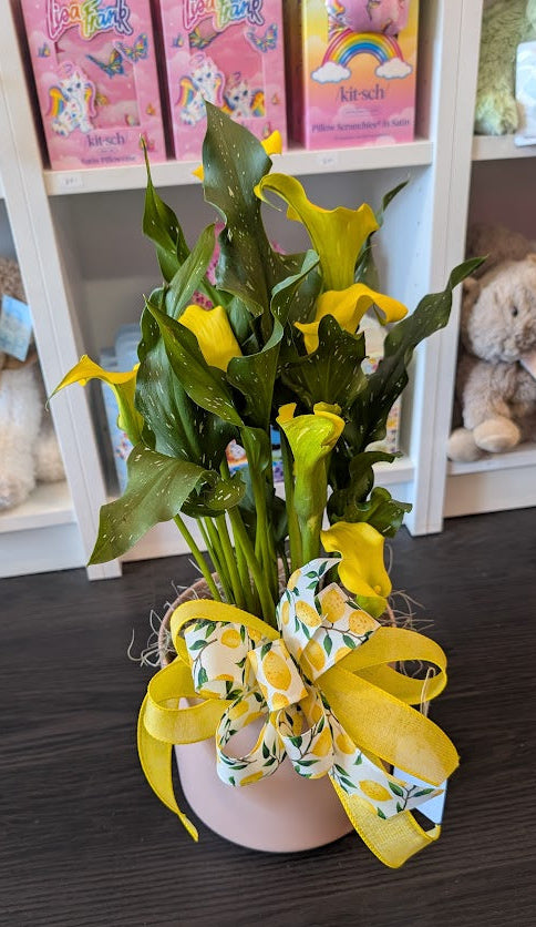 6'' Yellow Calla lily