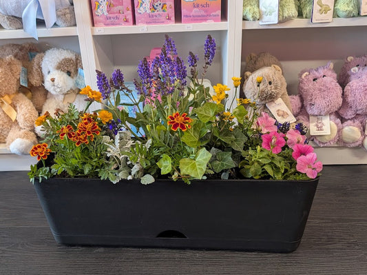 Outdoor window box