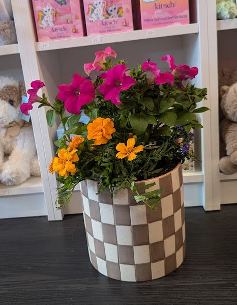 Outdoor planter in checkered pot