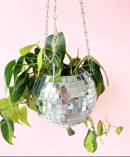 4'' Foliage plant in hanging disco ball planter